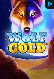 Bocoran RTP Wolf Gold di Timur188 Generator RTP Live Slot Resmi dan Akurat