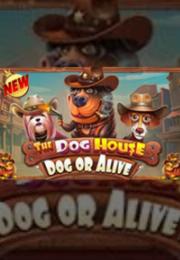 Bocoran RTP The Dog House - Dog or Alive di Timur188 Generator RTP Live Slot Resmi dan Akurat